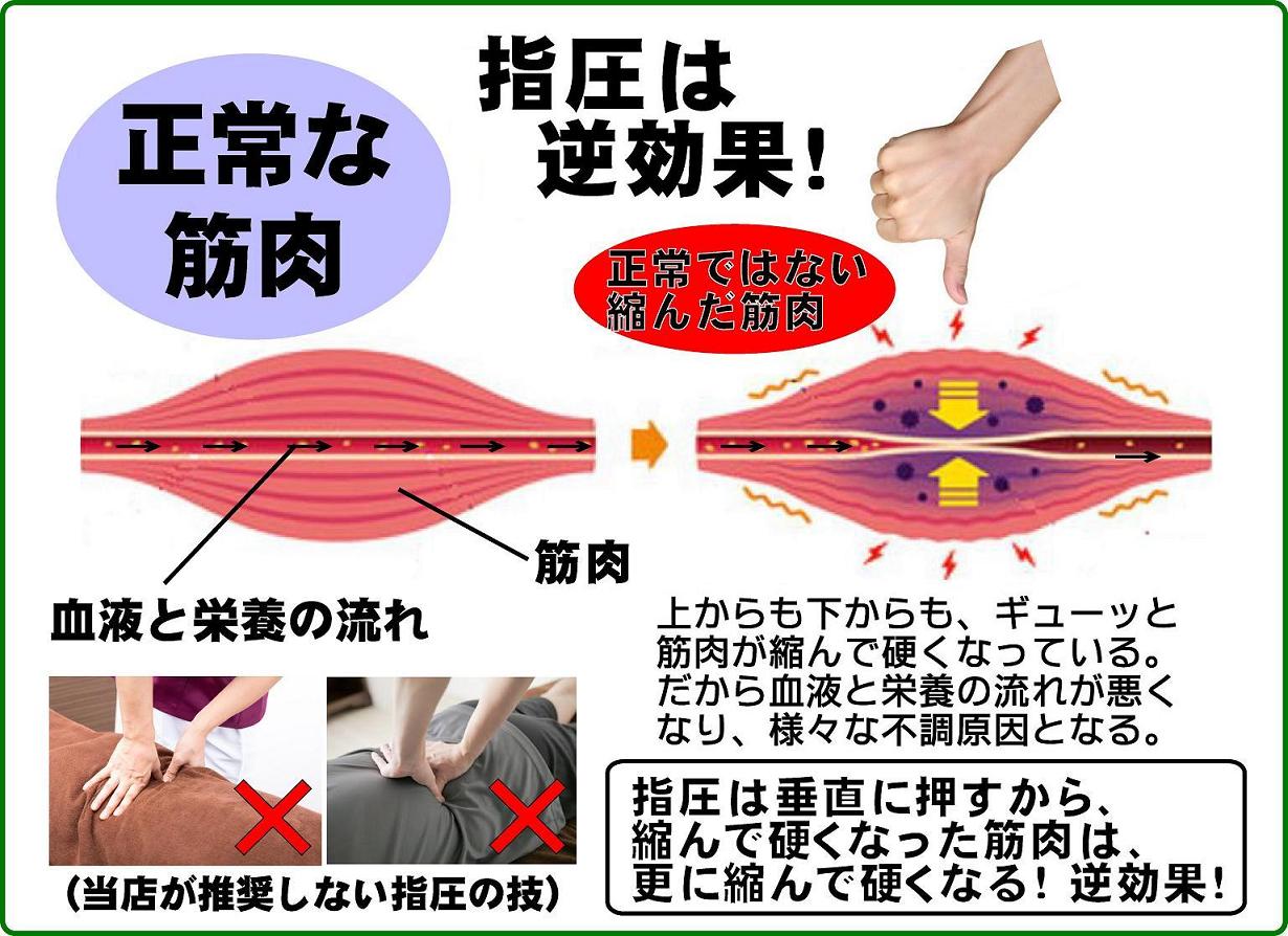 指圧は逆効果。上からも下からも、ギューッと筋肉が縮んで硬くなっている。だから、血液と体液の流れが悪くなっている。そして様々な不調の原因となる。